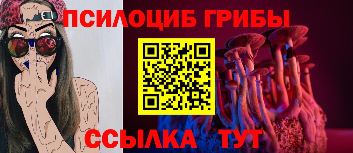 Шебекино  Галлюциногенные грибы Psilocybe  Вход с VPN 